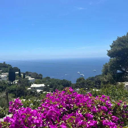 Marvelous Sea View